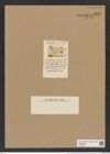 Triceratium minutum Walk. et Chase (de-Toni-Nr.: Genus 140, Species 3835) Zeichnungen Sammlung Grunow Nr. 7340 (NHMW-BOT-W0376384)